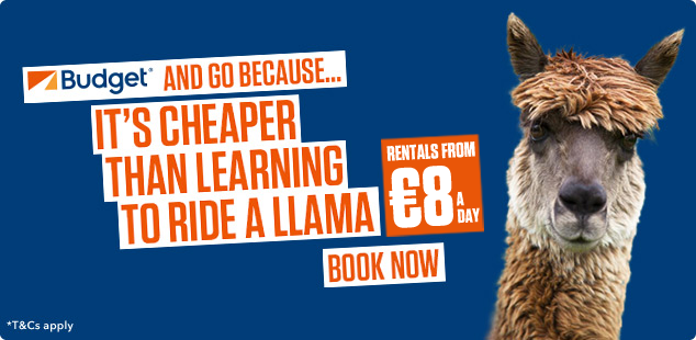 Cheaper than learning ro ride a Llama