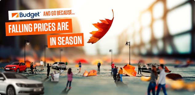 Autumn Specials - Falling Prices are in Season