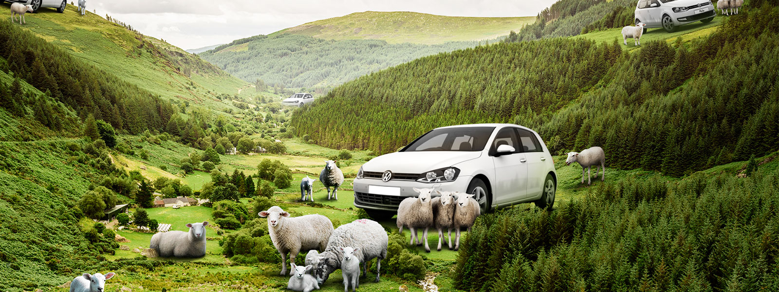 Budget Car Rental Special Offers